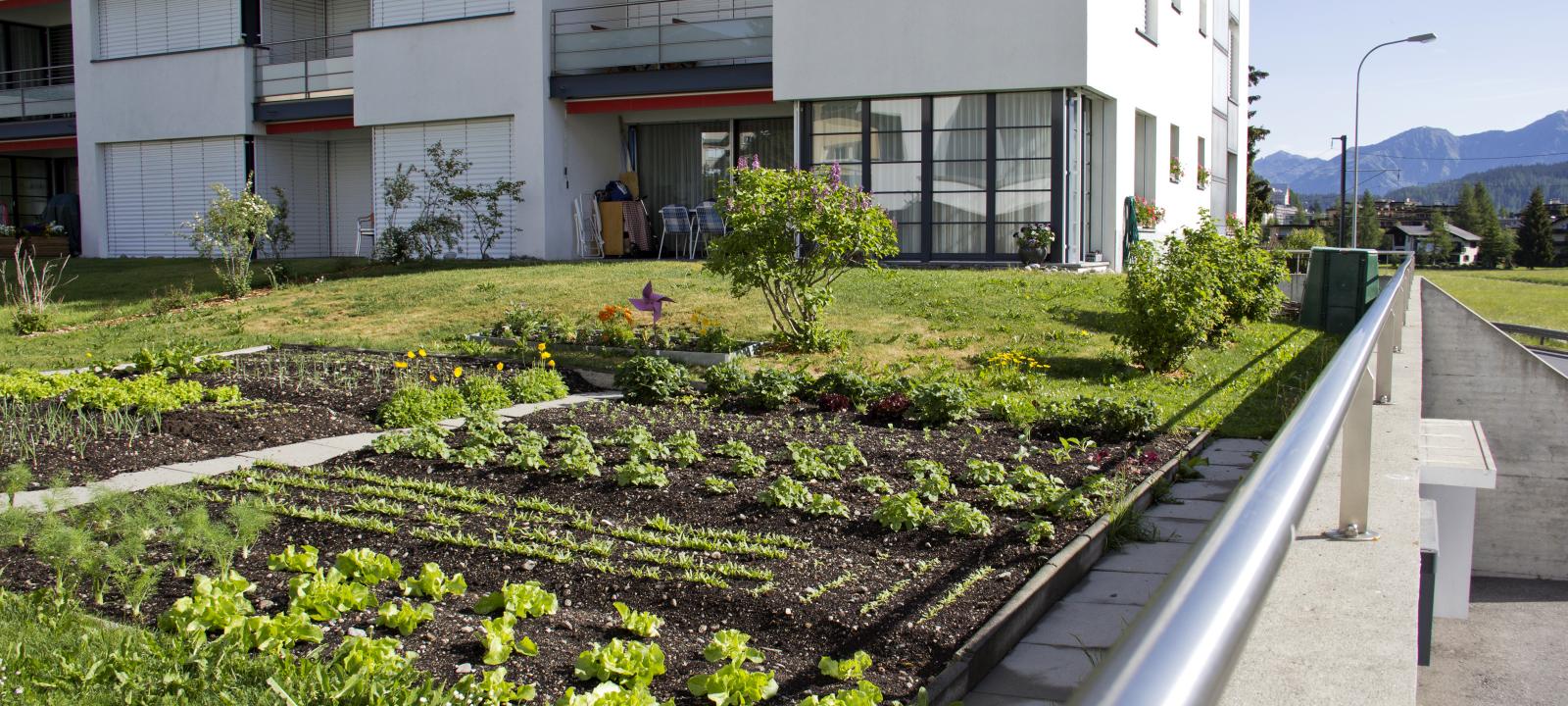 Urban Rooftop Farming | ZinCo Green Roof Systems UK