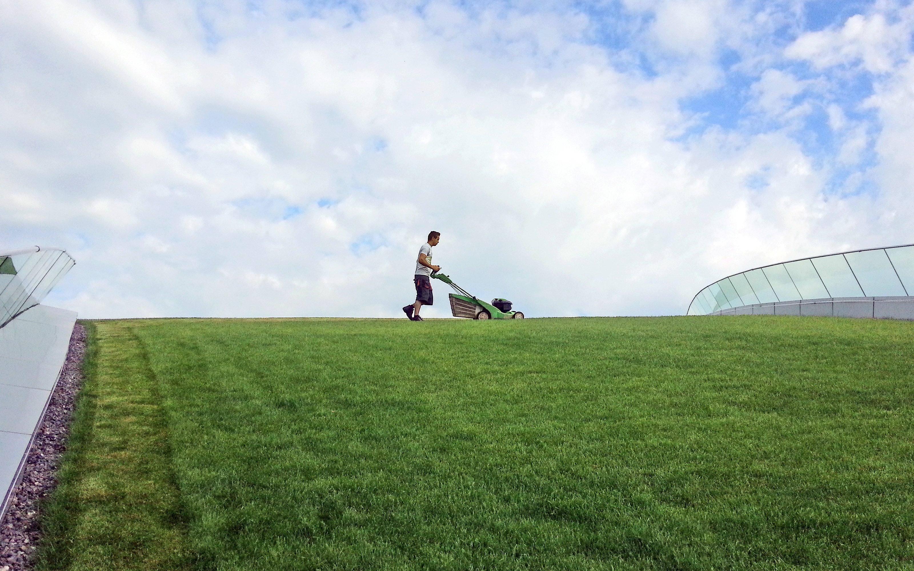 Man mowing grass on a green roof with lawn