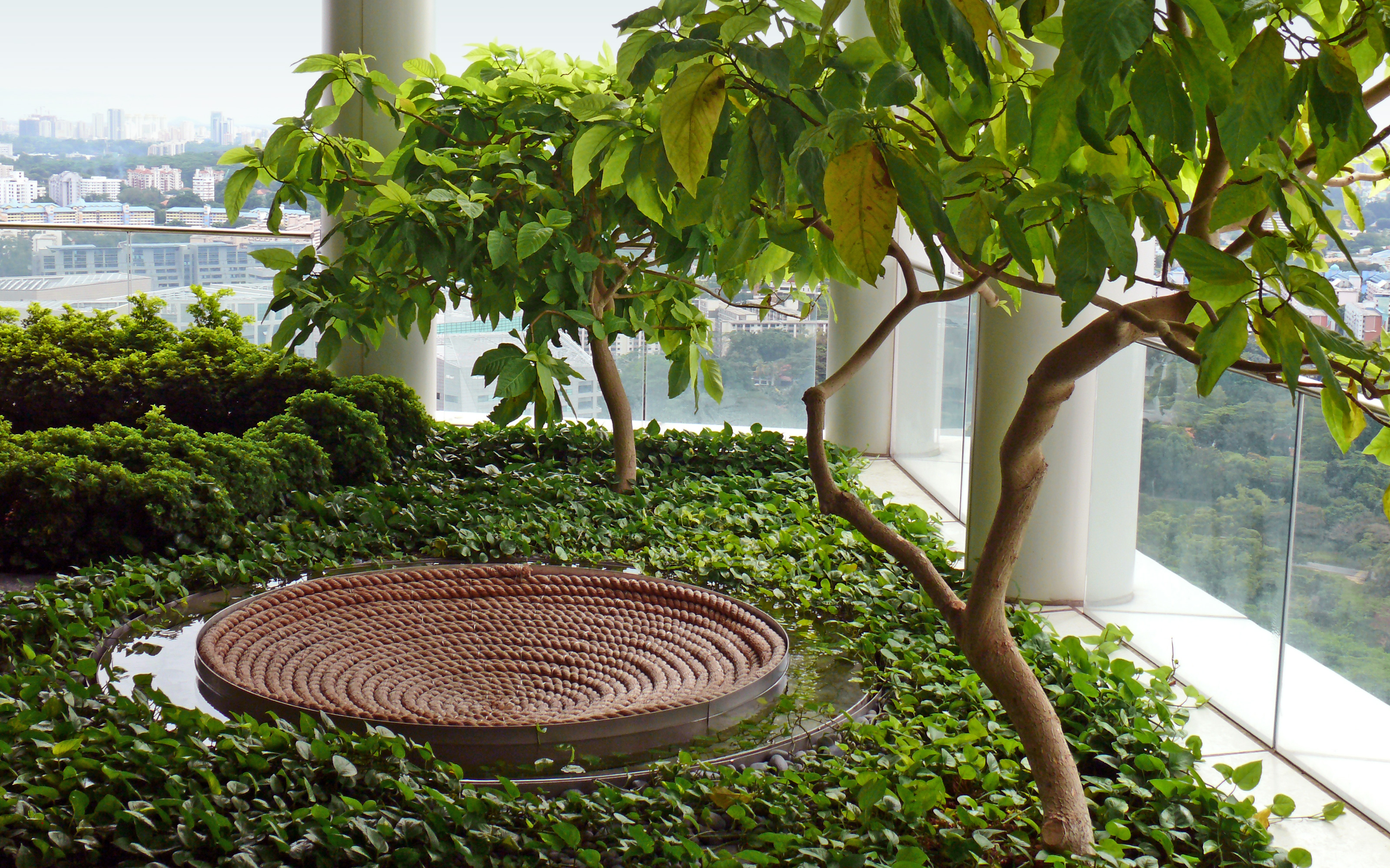 Balcony garden with water feature and small trees
