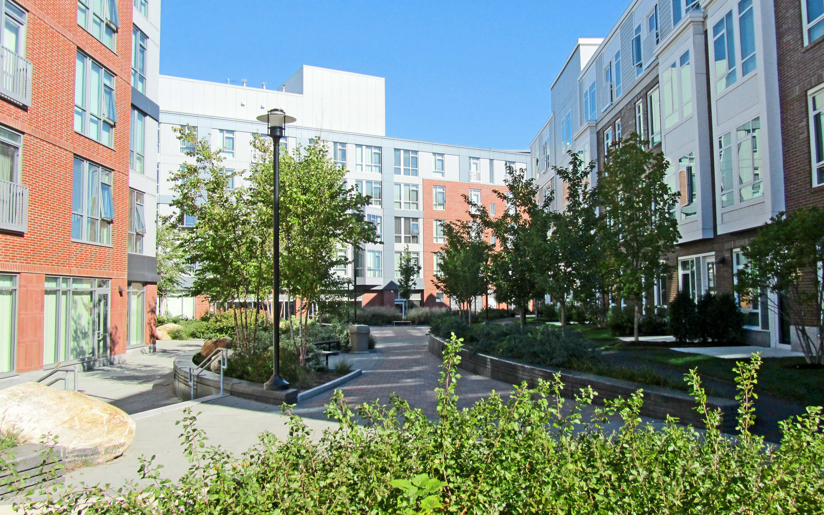 Green courtyard with shrubs and small trees surrounded by residential buildings