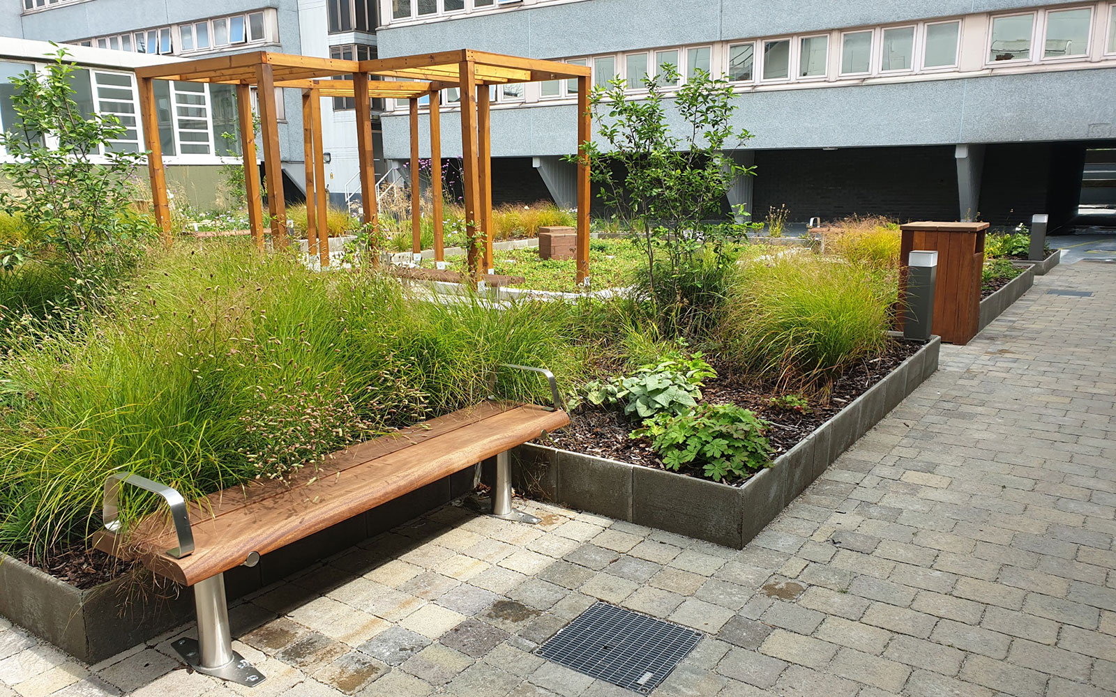 Roof garden with plant beds, a wooden pergola and a bench