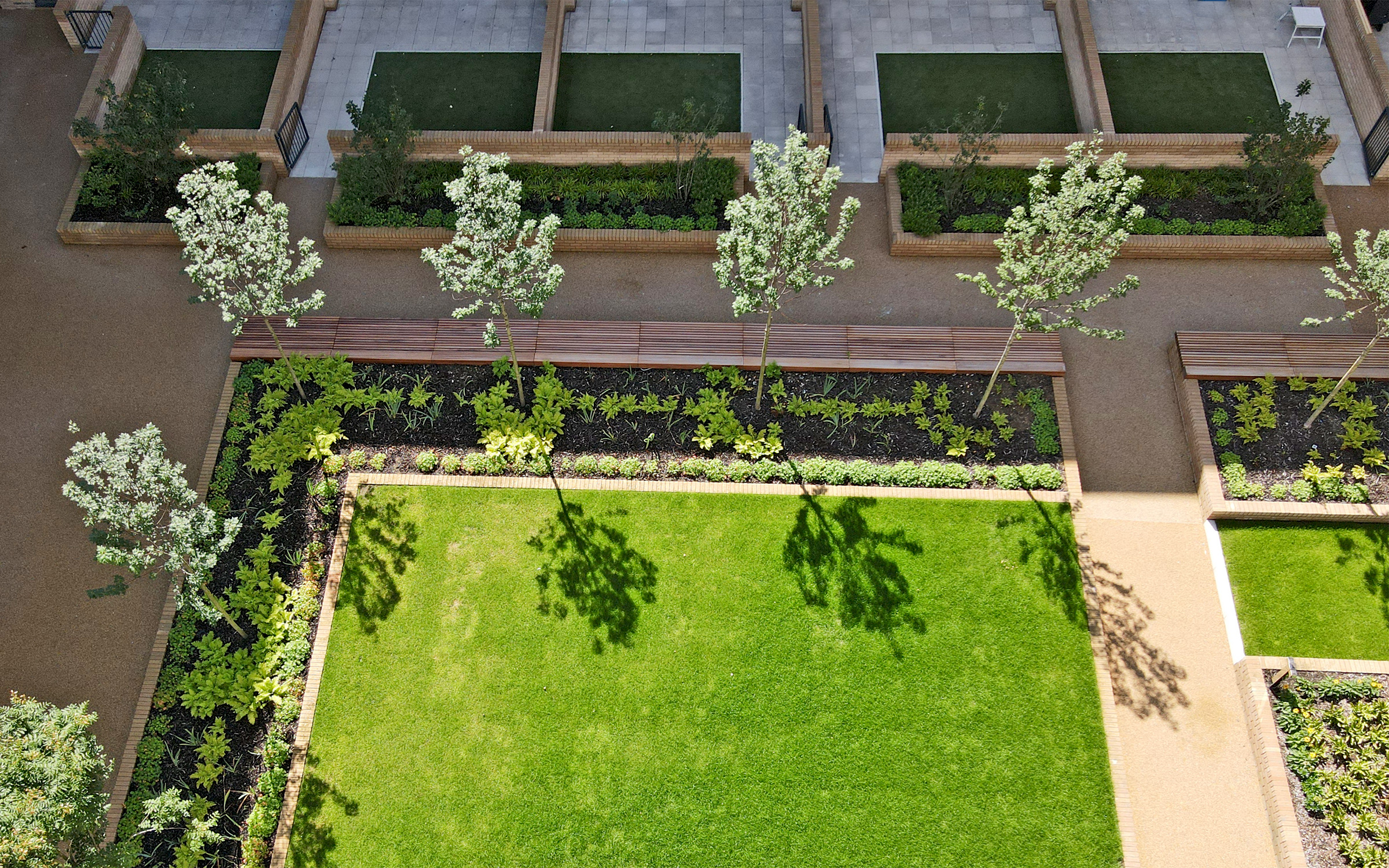 Courtyard with lawn, walkways and small trees