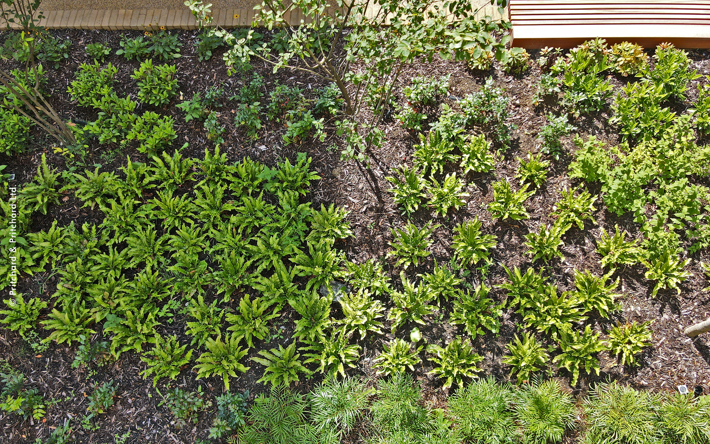 Plant bed