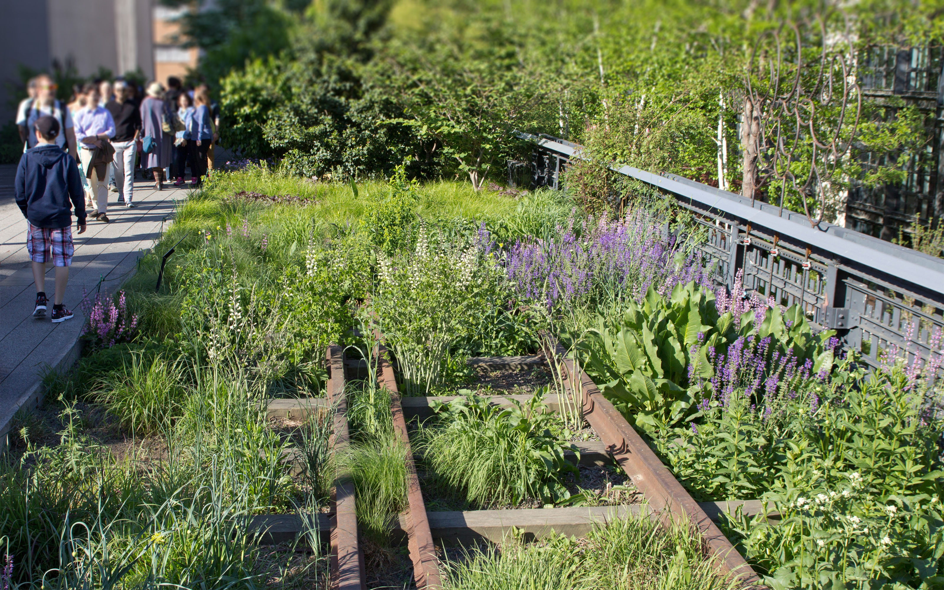 Planted railways