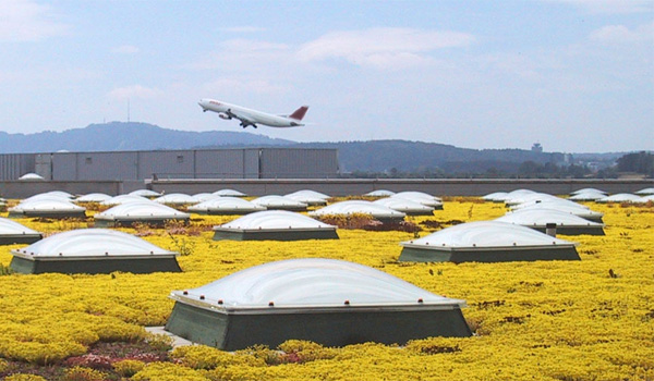 Airplane flying over green roof