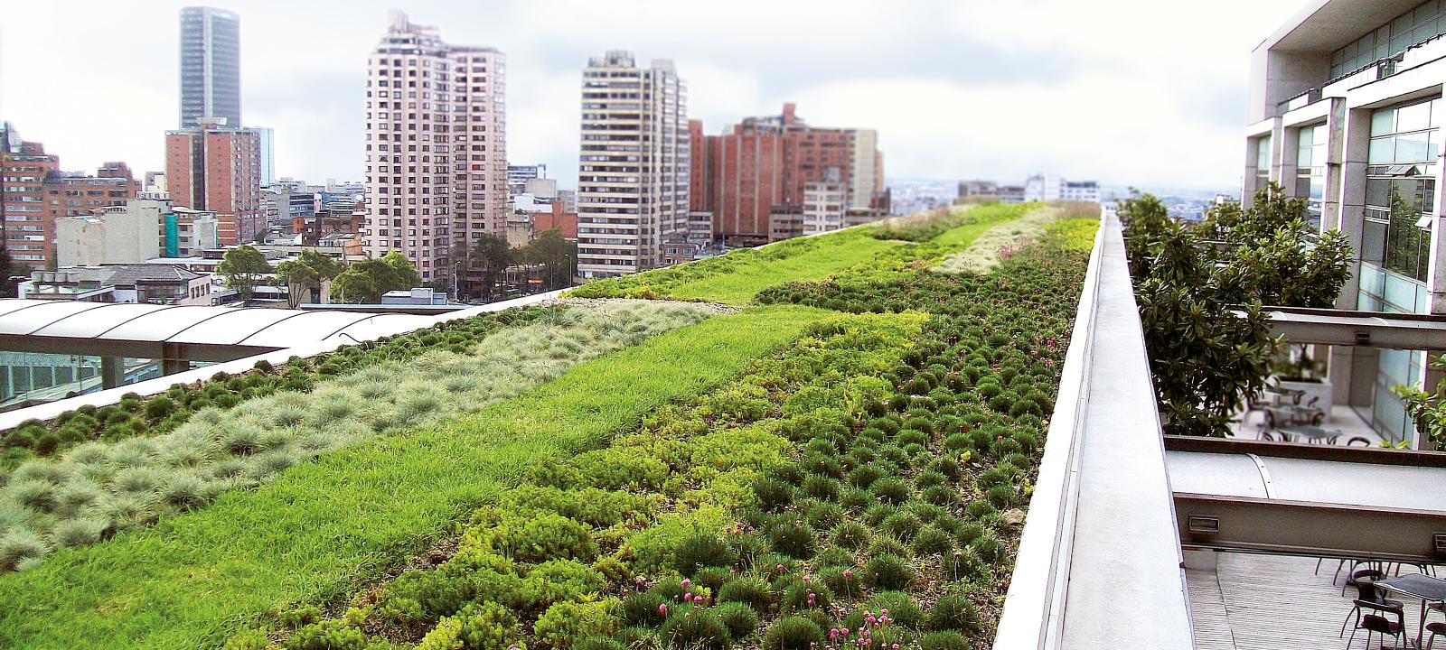 Urban Climate Roof | ZinCo Green Roof Systems UK