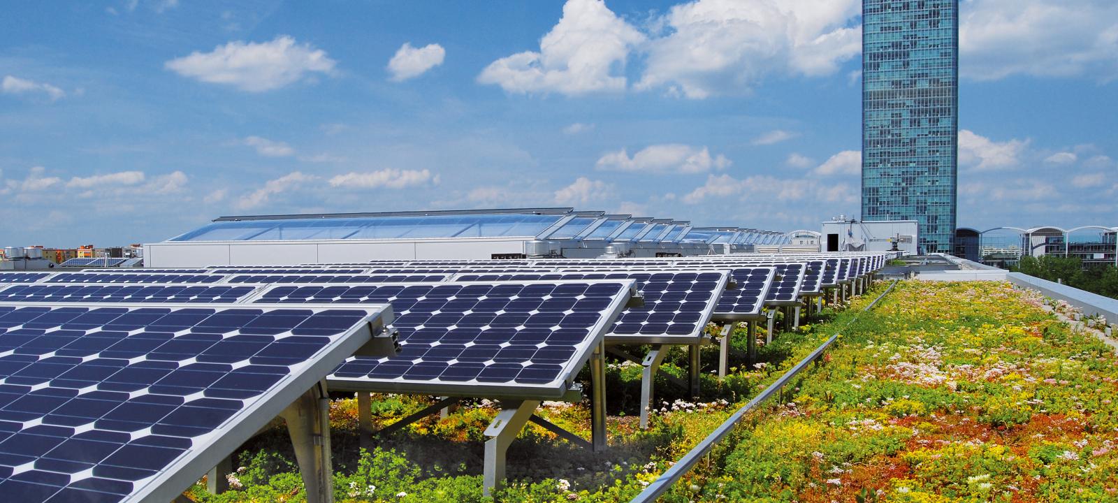 Sedum roof with photovoltaics