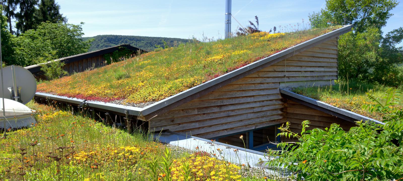 Pitched green roof