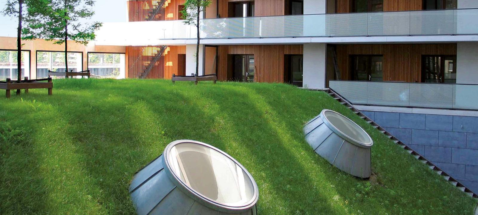 Green roof with pitched areas and skylights and flat areas with small trees