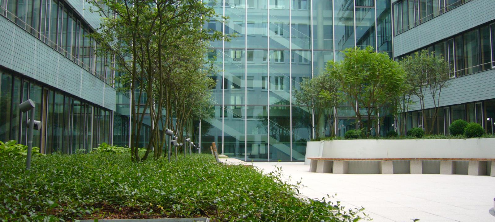 Courtyard with small trees, benches and walkways