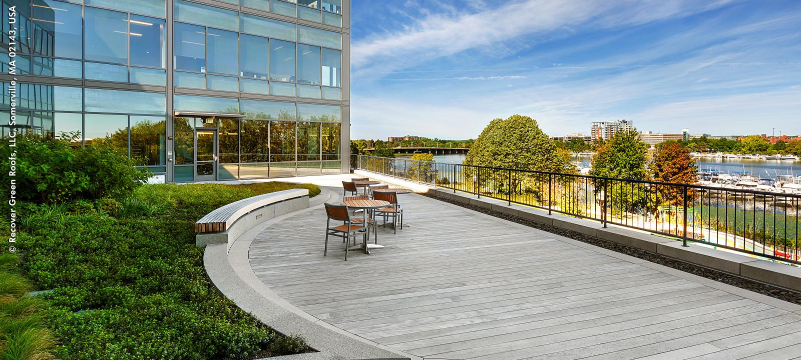 Roof terrace with plant bed and seating area