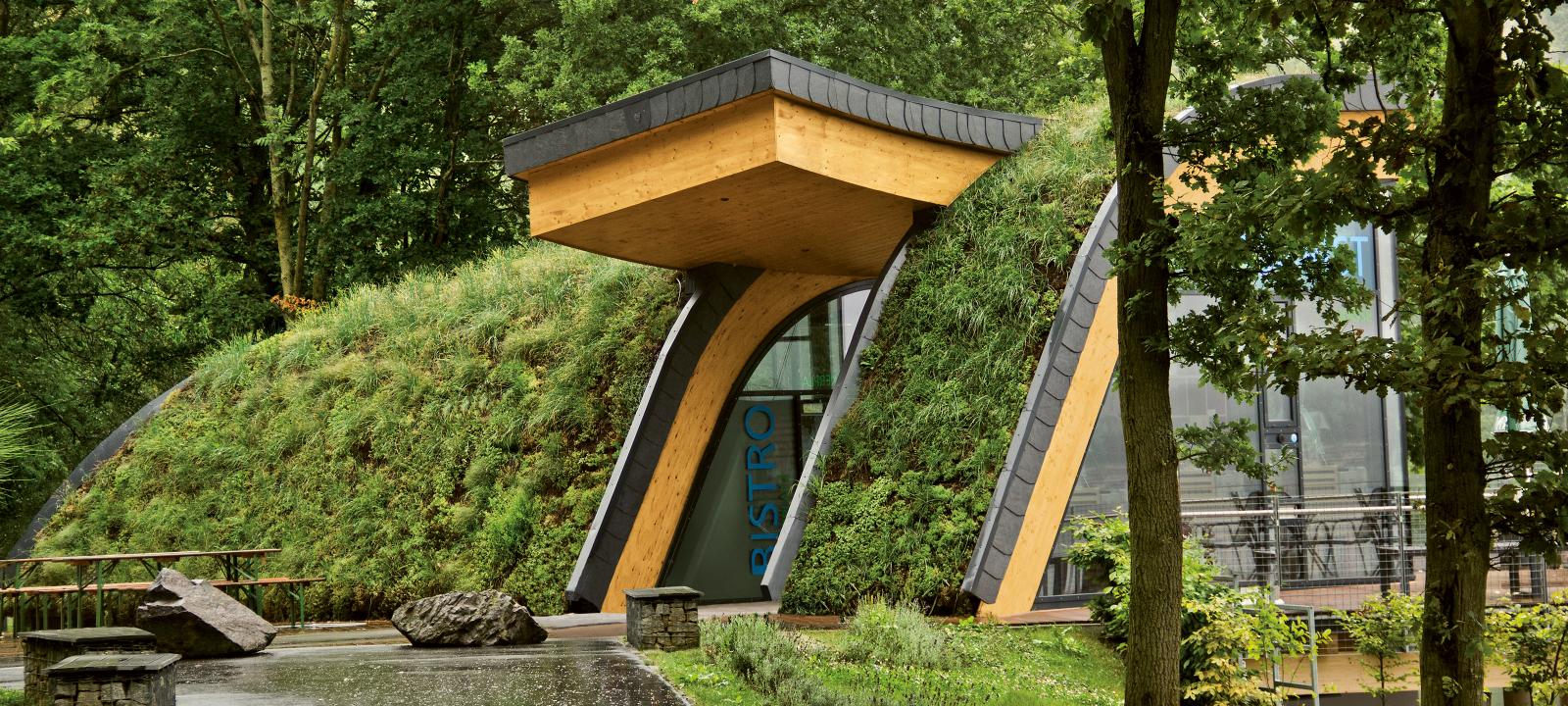 Steep Pitched Green Roof