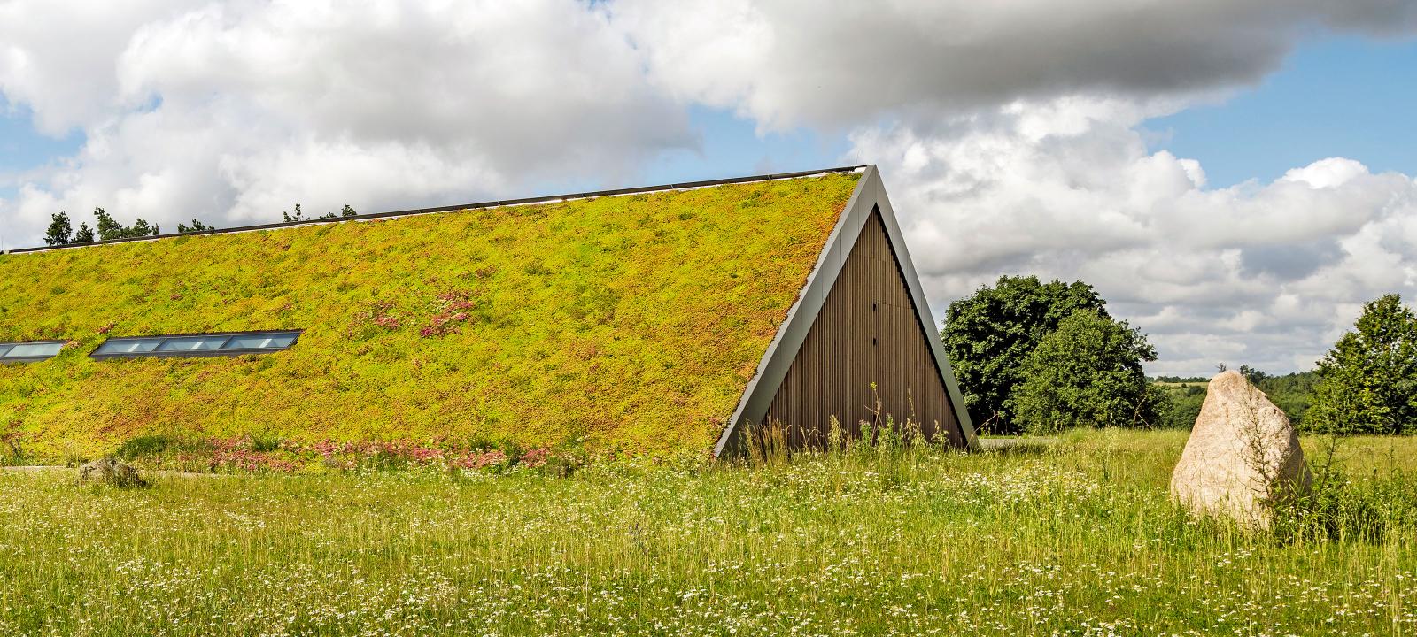 Steep Pitched Green Roof
