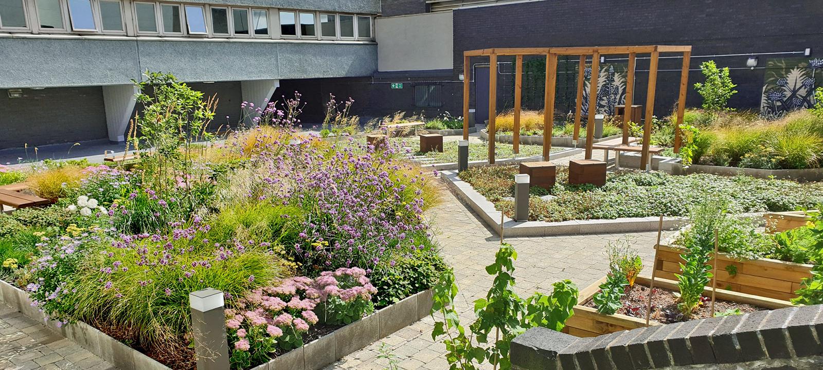 Roof garden with plant beds, sitting areas and a wooden pergola