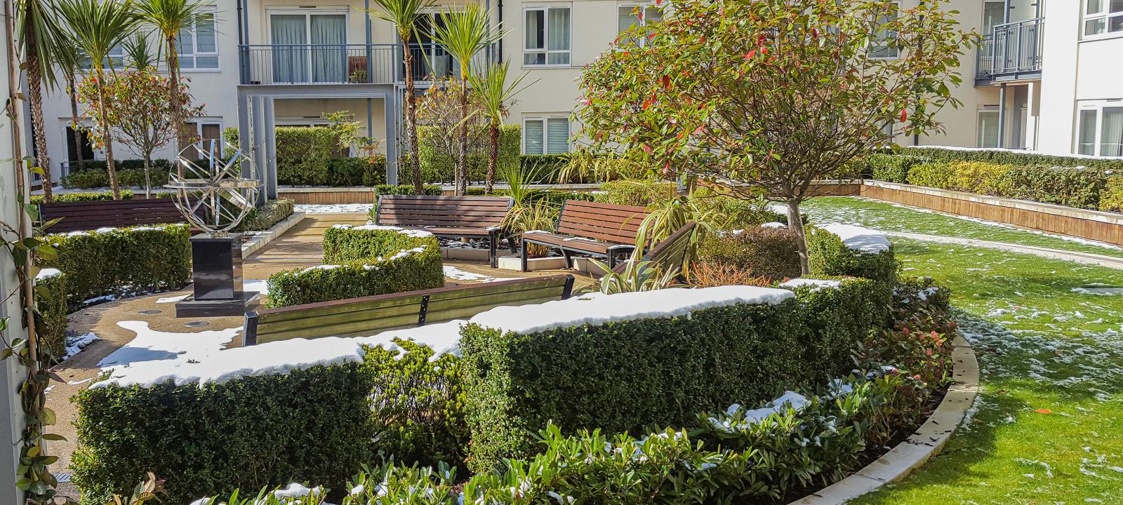 Vegetated residential courtyard