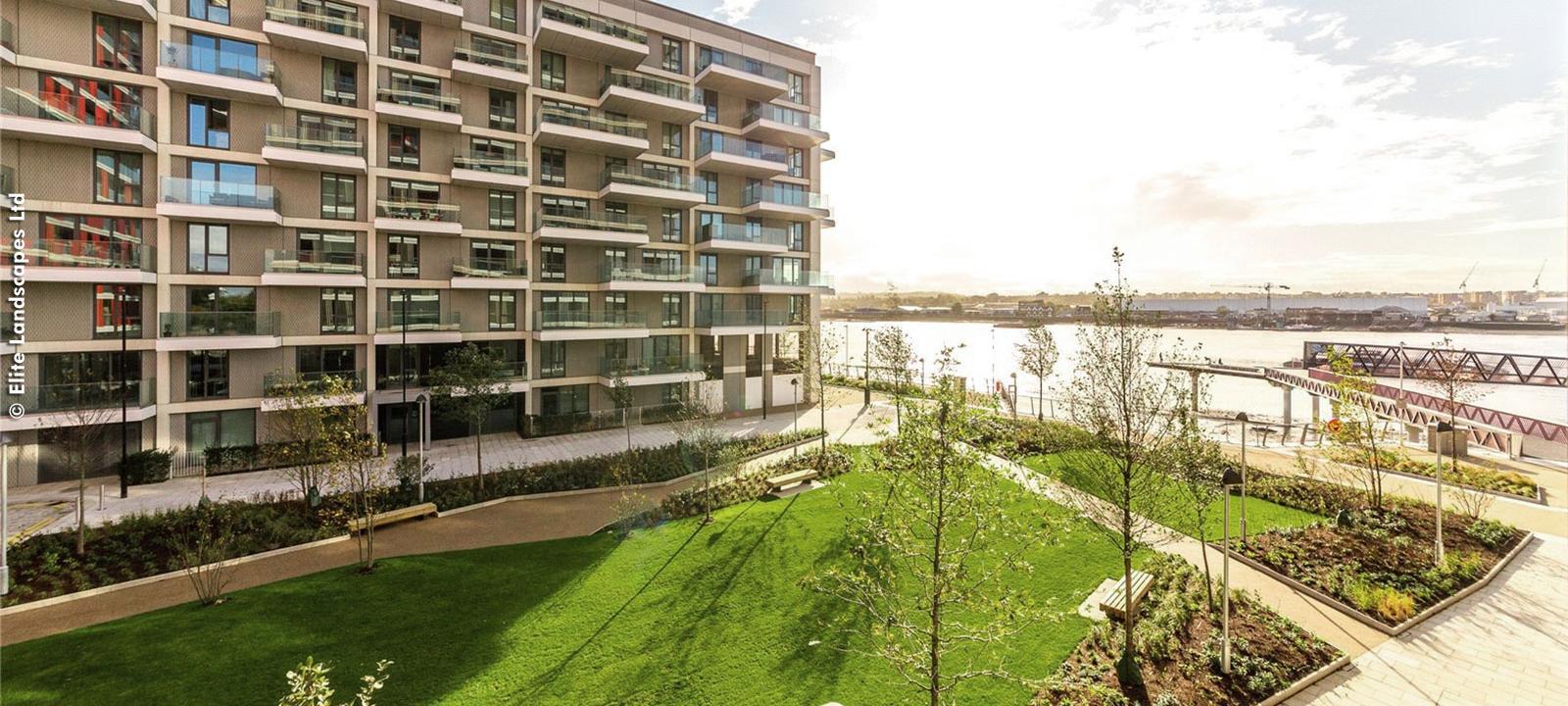 Green residential courtyard