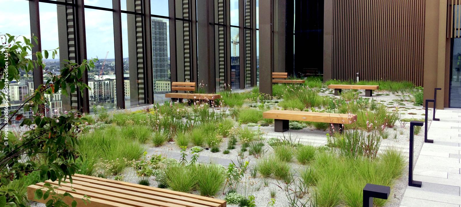 Roof terrace with benches and a prairie-like vegetation