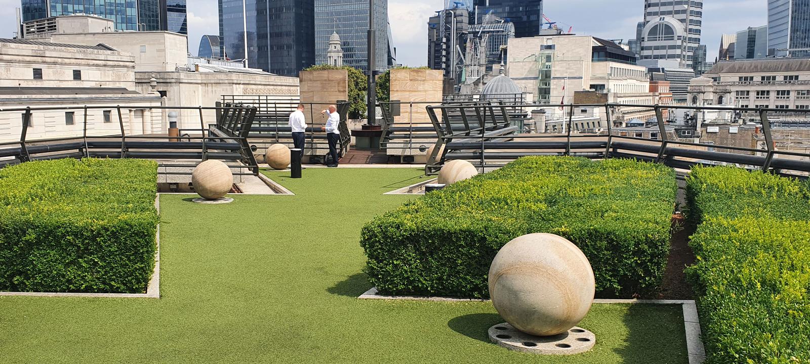 Roof garden with lawn and boxwood trees