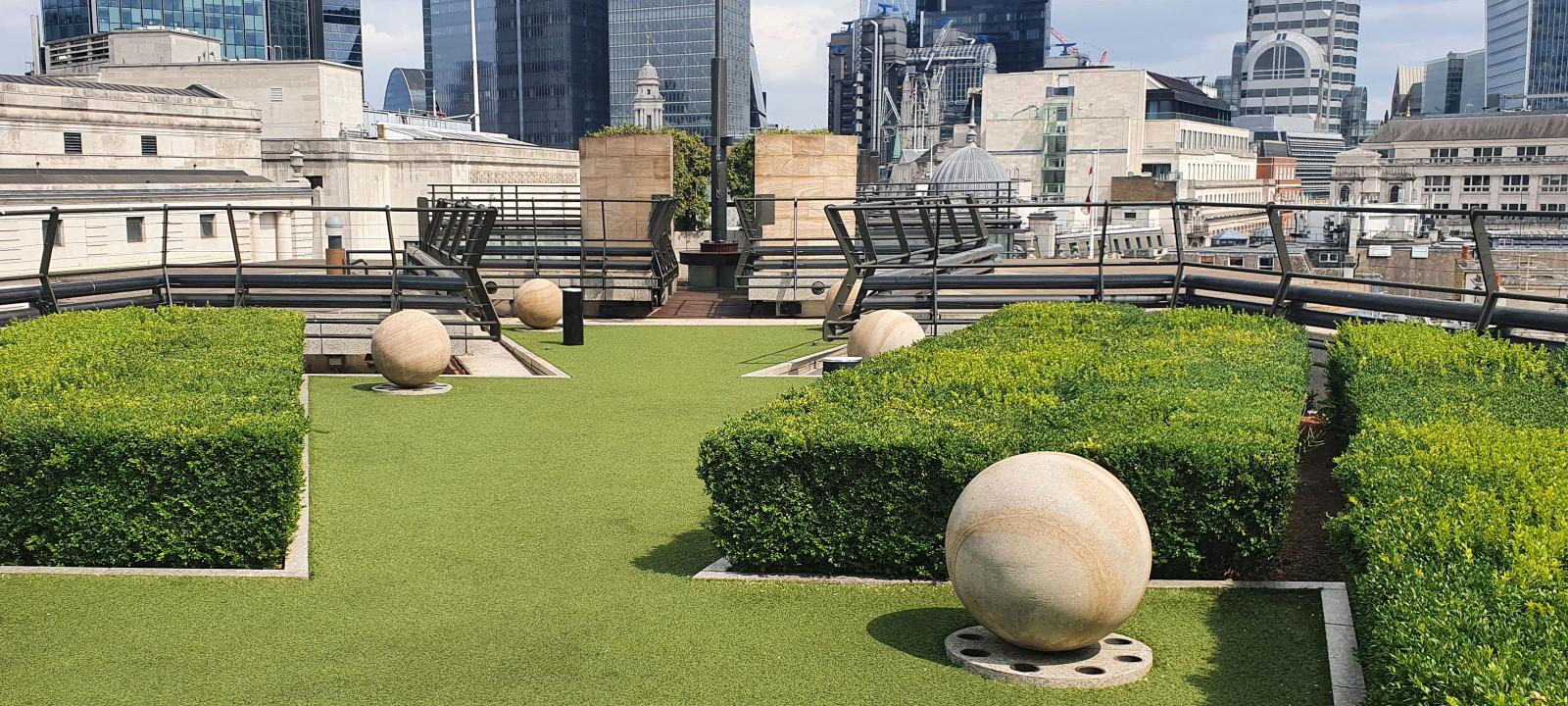 Roof garden with lawn and boxwood trees