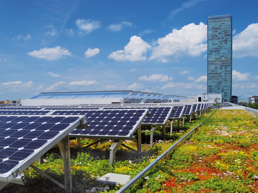 Green roof with solar plant