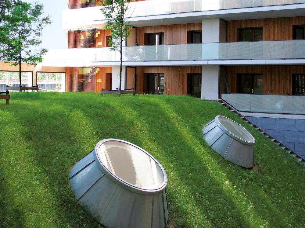 Green roof with pitched areas and skylights and flat areas with small trees