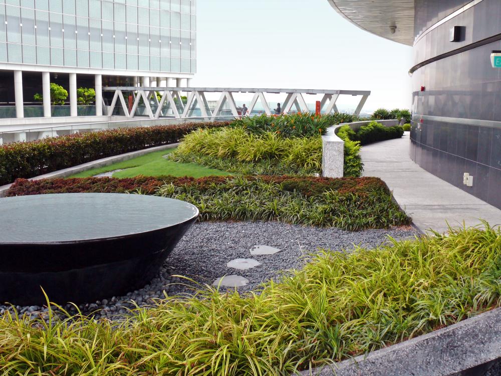 Roof garden with water basin