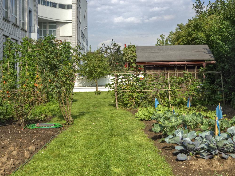 Roof garden with lawn and vegetable patches