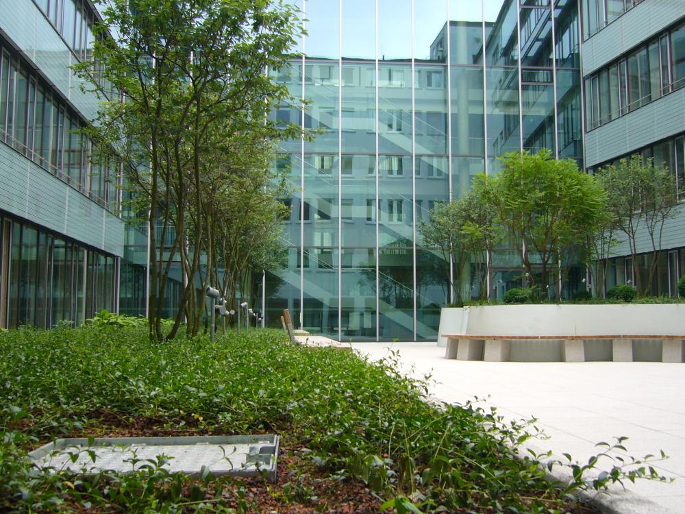 Courtyard with small trees, benches and walkways