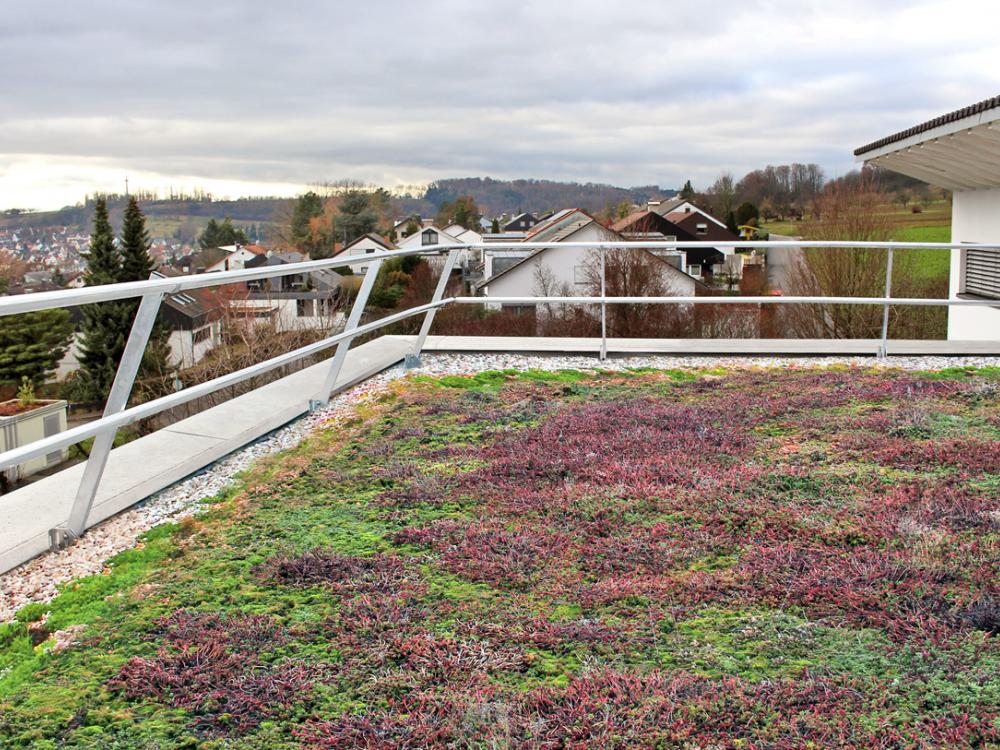 Vegetated roof with guardrail