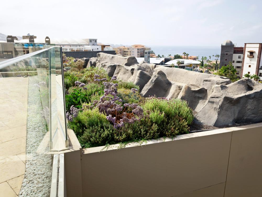 Green roof and roof terrace