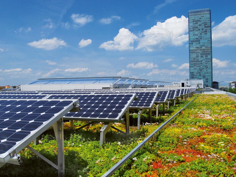 Green roof in combination with photovoltaics