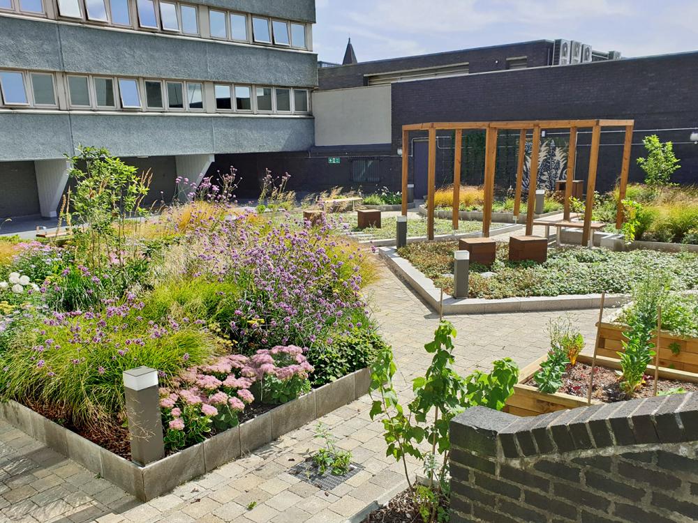Roof garden with plant beds, sitting areas and a wooden pergola