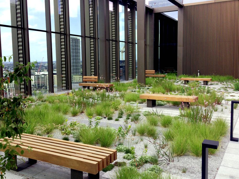 Roof terrace with benches and a prairie-like vegetation