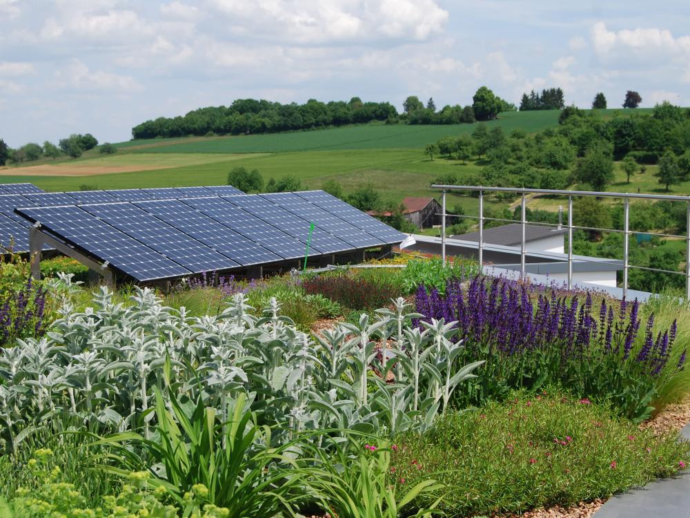 Green roof and solar installation