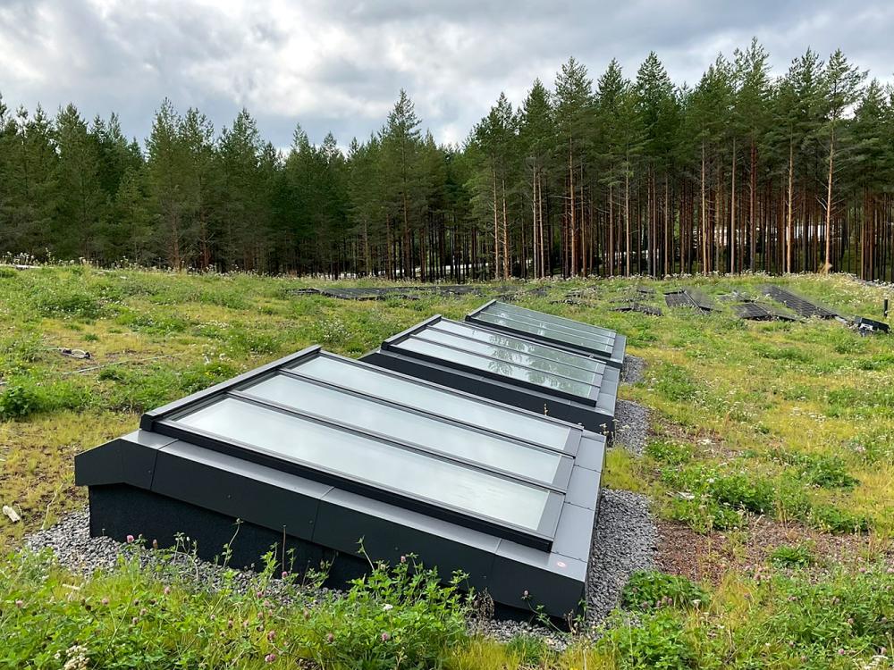 Green roof with skylights