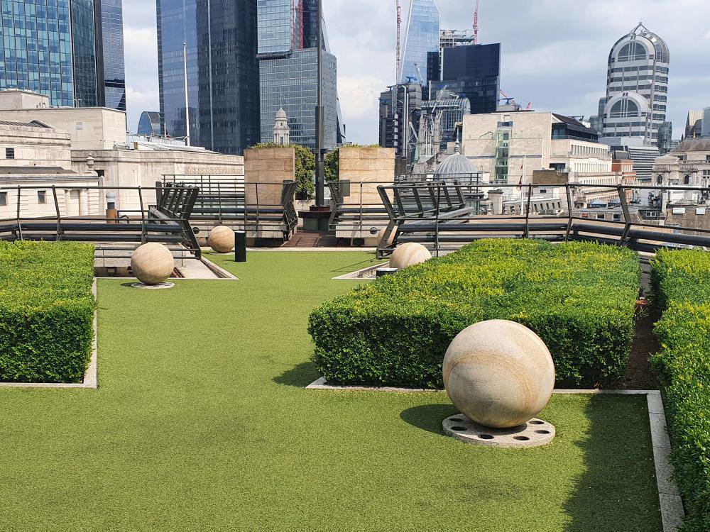 Roof garden with lawn and boxwood trees