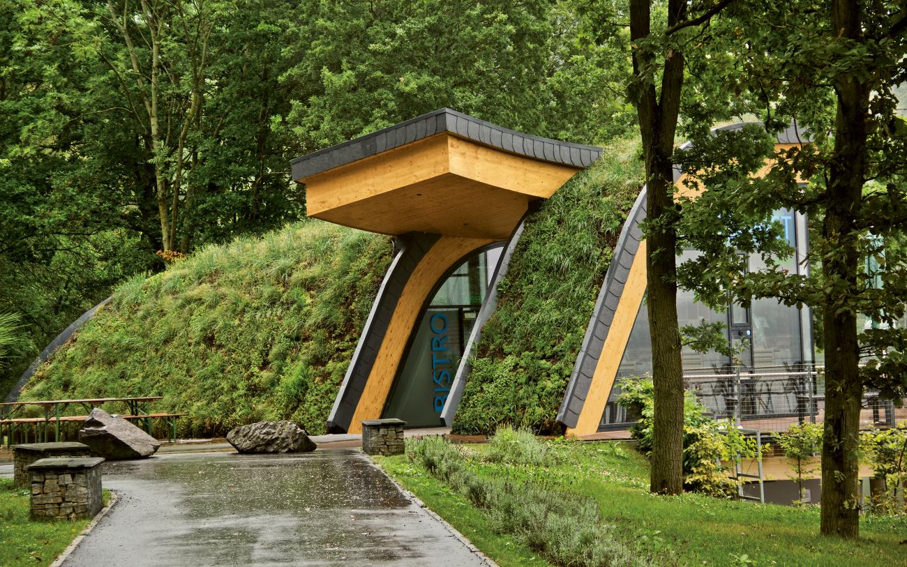 extensive green roofs extensive green roofs