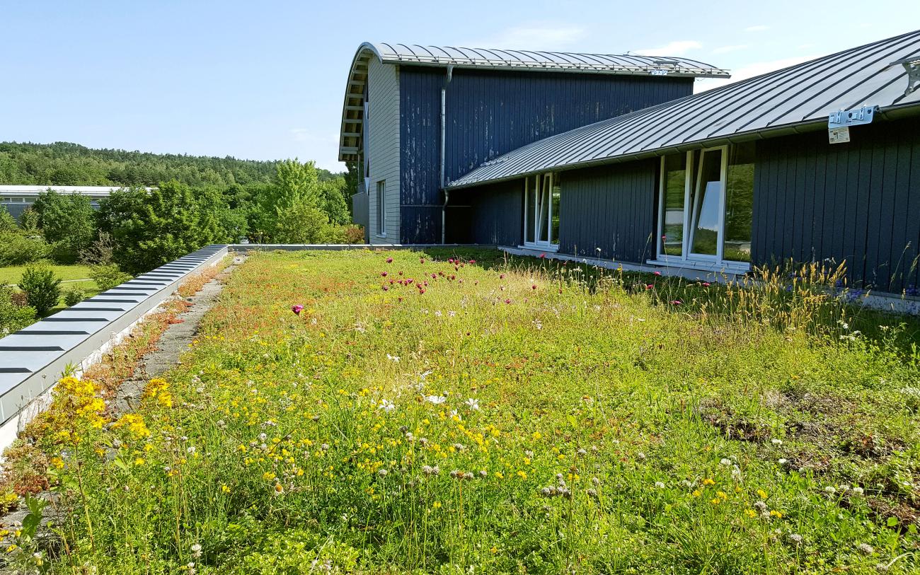 Extensive Green Roofs | ZinCo Green Roof Systems UK