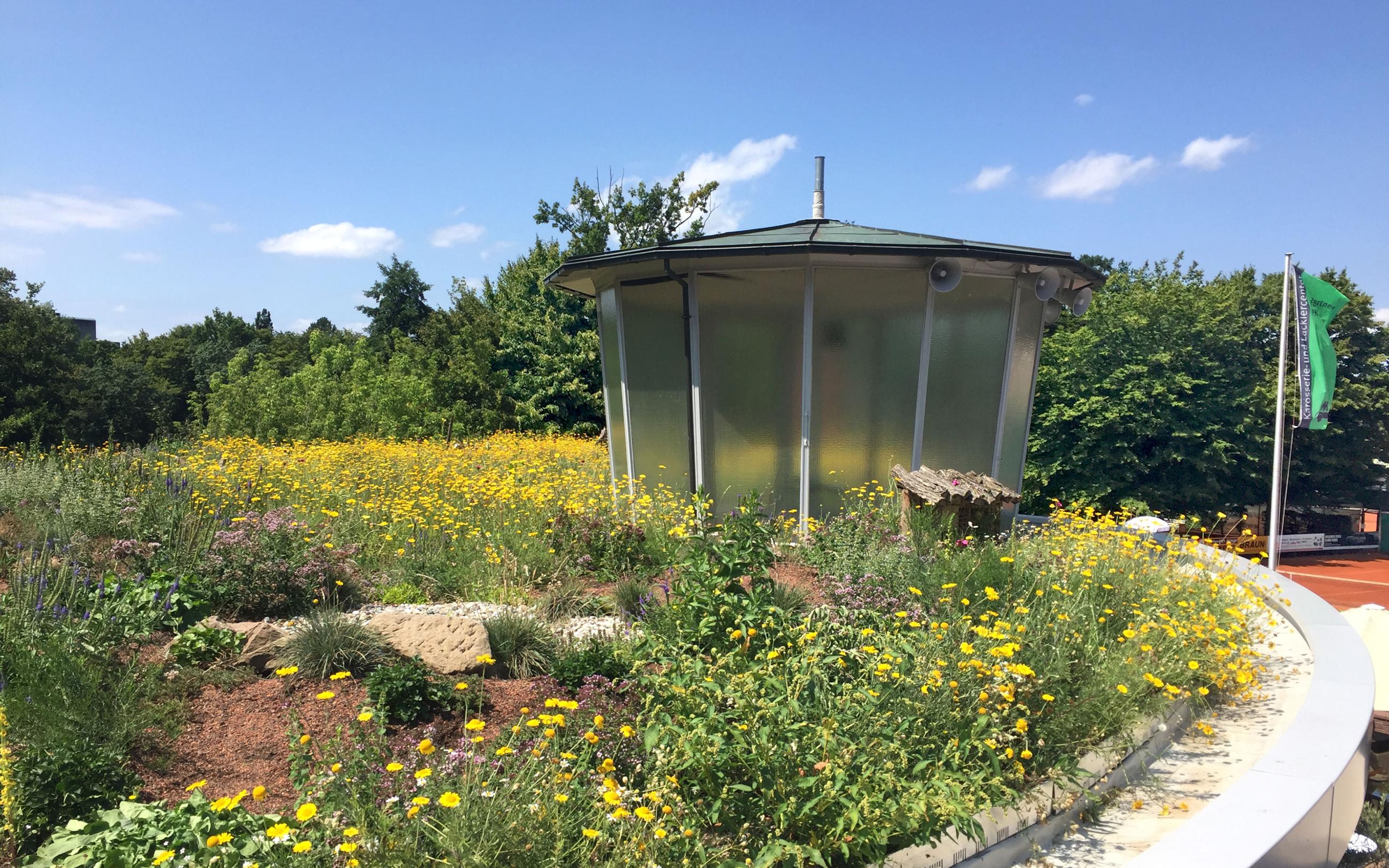 Green Roofs to Preserve Biodiversity | ZinCo Green Roof Systems UK