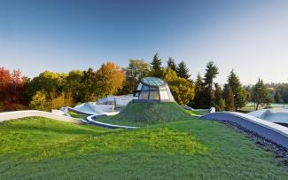 Green roof with grasses