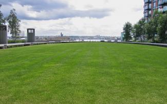 The towering ventilation shafts are the only reminder that there is an underground garage beneath the lush green lawn. Lawn on a rooftop