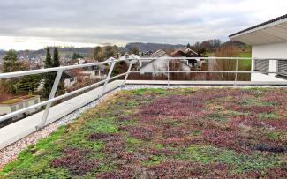 Vegetated roof with guardrail