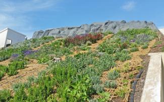 Pitched green roof with nets made of coconut fibres