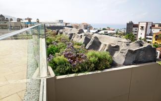 Green roof and roof terrace