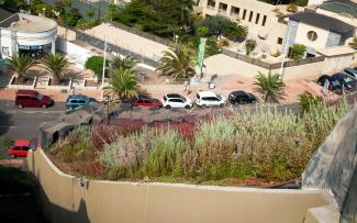 Pitched green roof