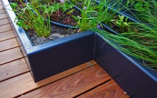Grasses and perennials in lush growth thanks to the dripline irrigation system. © ZinCo Benelux B.V. Wooden decking and plant bed