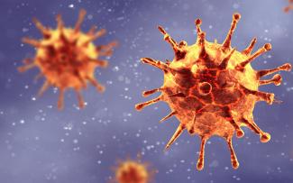 Coronavirus