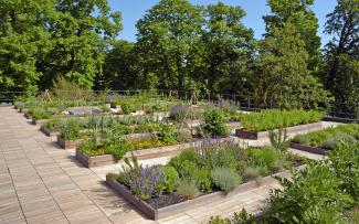 Roof garden with herb and vegetable plots