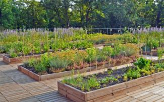 Roof garden with herb and vegetable plots