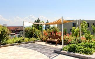 Roof garden with shrubs, perennials and bench on paved terrace